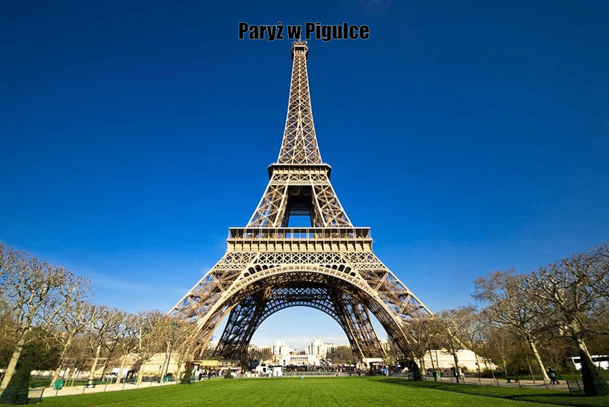 Paryż w Pigułce